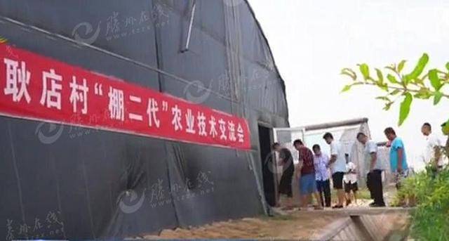 今日阳谷新闻热点，小巷深处的独特风味