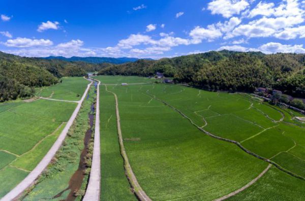 平陆运河最新进展及自然美景探索之旅启动