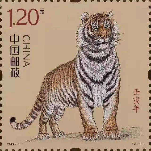 四虎影最新资讯，温馨日常趣事回顾